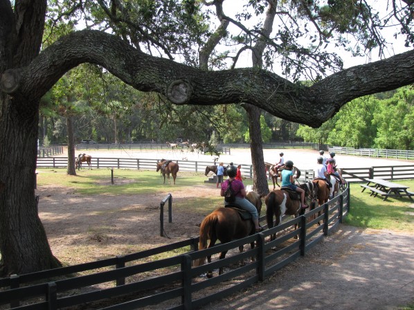 2010-08-01 - Pony Rides