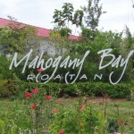 Mahogany Bay, Roatan Mahogany Bay, Roatan